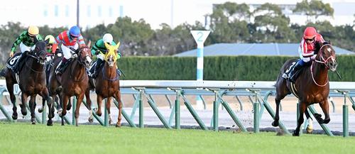 中京2歳ステークスを制したアメリカンステージ(右)=2024年12月14日、中京競馬場