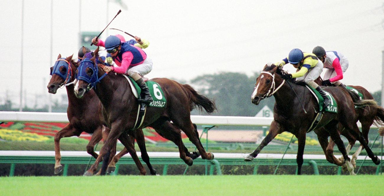 差し切って富士ステークスを制したメイショウラムセス（左）（2002年10月19日撮影）