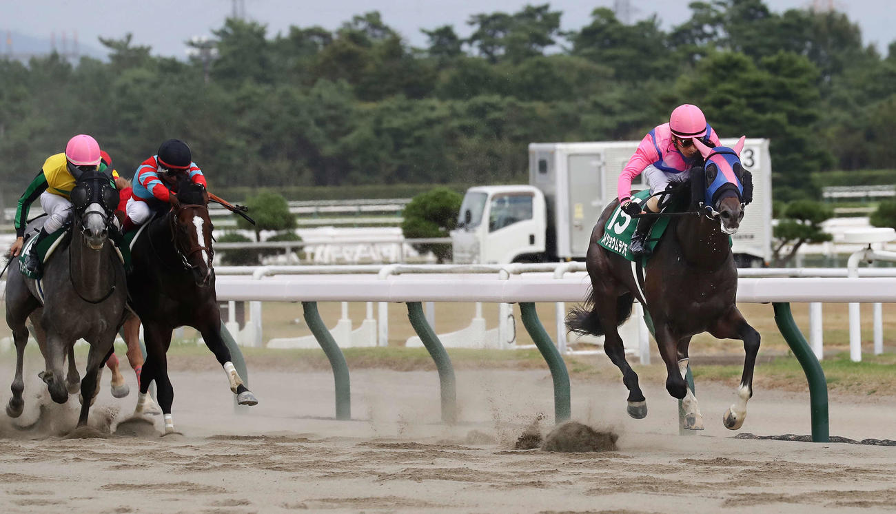 レパードSを快勝したメイショウムラクモと柴田善騎手（右）（2021年8月8日撮影）