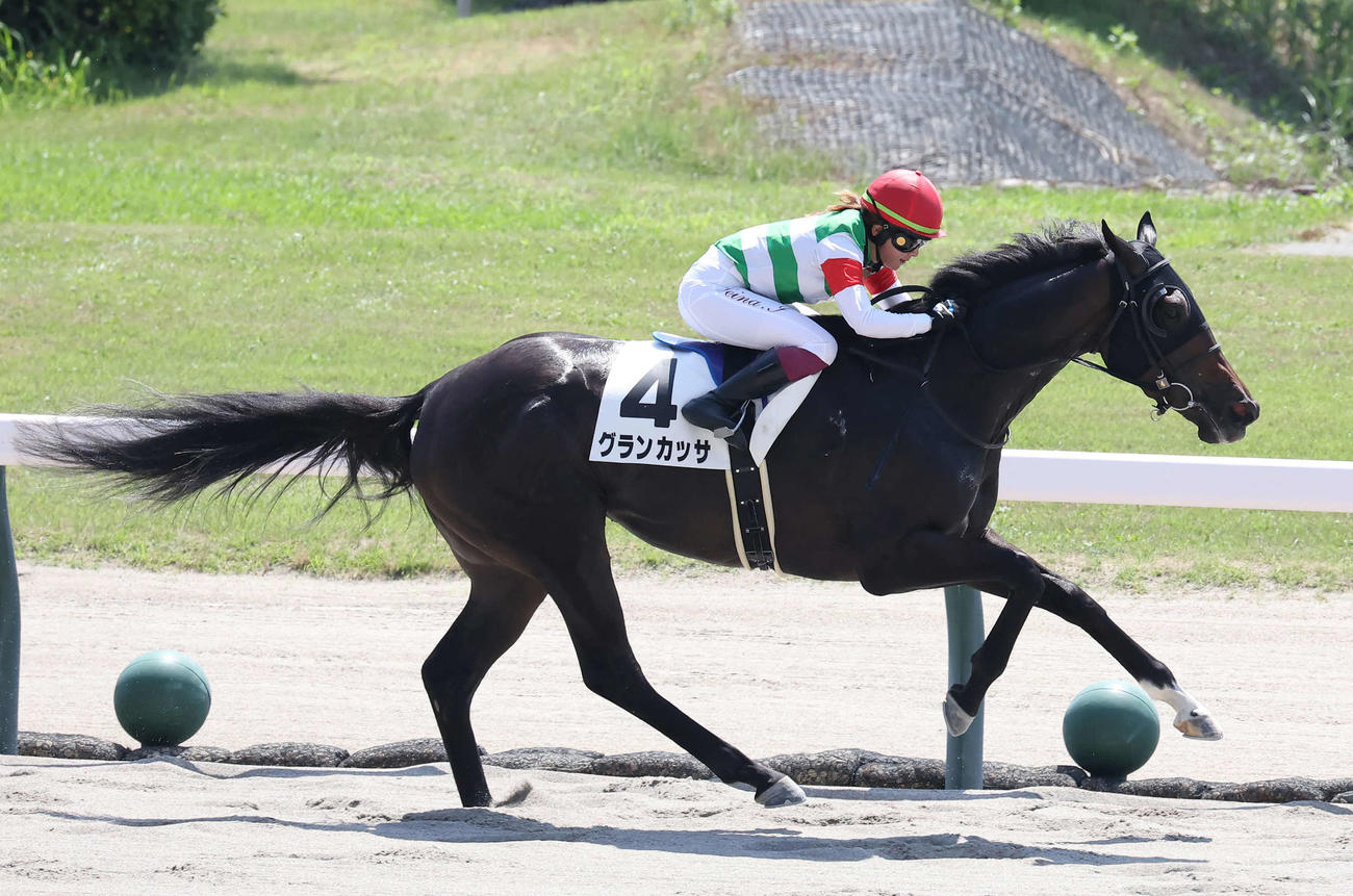 新潟2R、3歳牝馬限定の未勝利戦を逃げ切ったグランカッサと今村騎手（撮影・丹羽敏通）