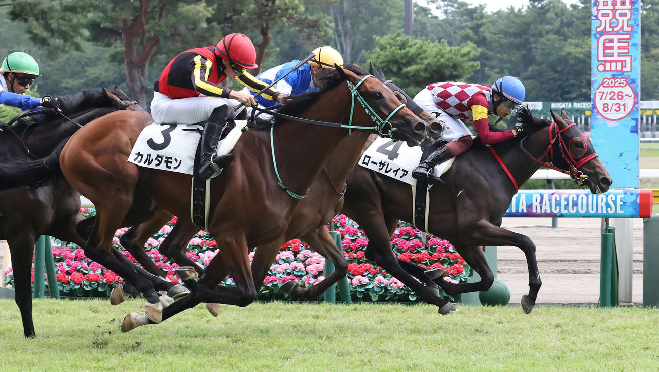 新潟5R、2歳新馬戦を制したローザレイアと三浦騎手（奥）。手前は2着カルダモン（撮影・丹羽敏通）