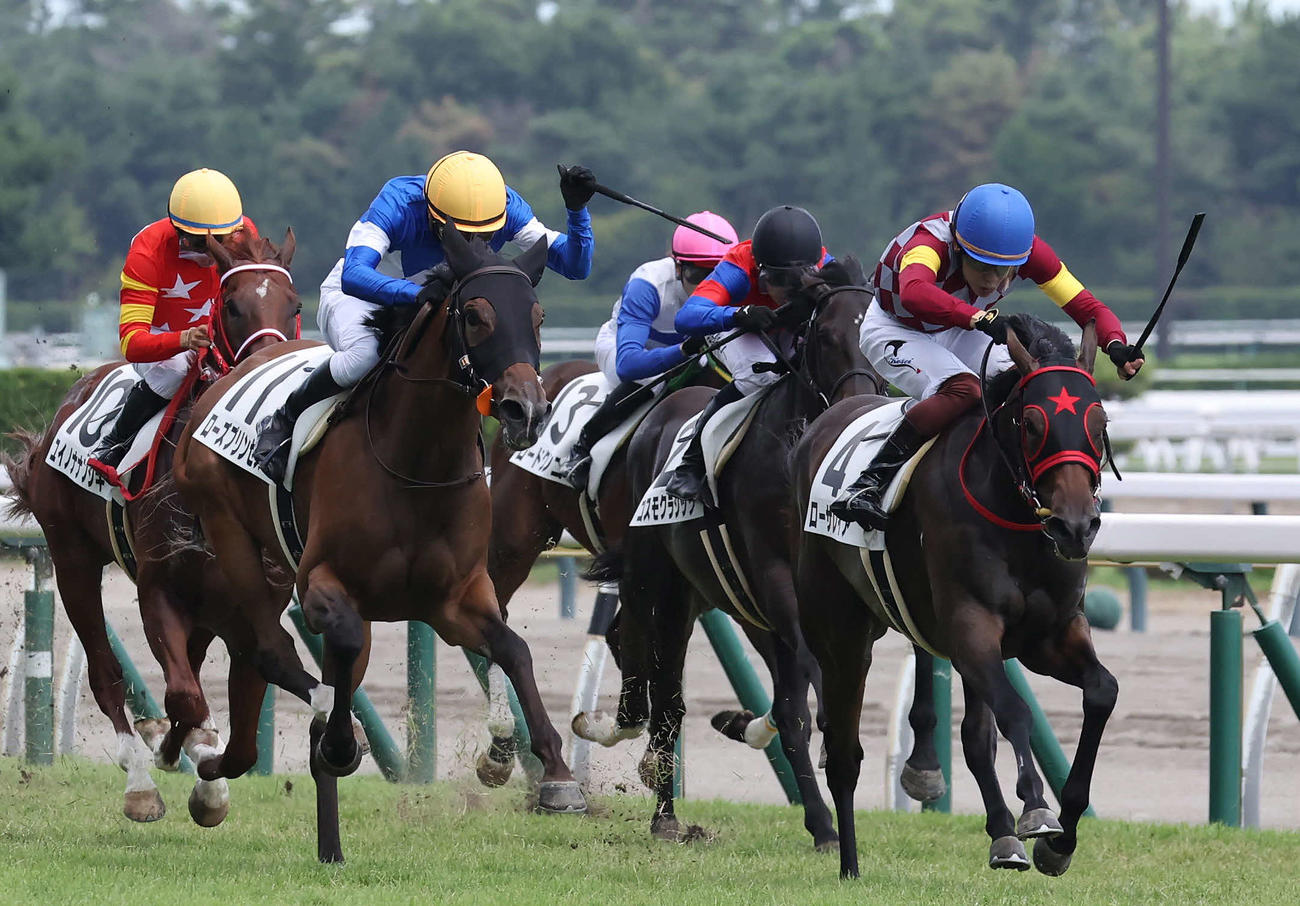 新潟5R、2歳新馬戦を制したローザレイアと三浦騎手（右）（撮影・丹羽敏通）
