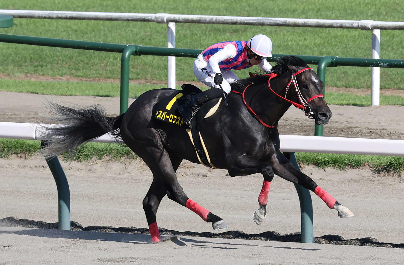 新潟11R、BSN賞を制したジャスパーロブストと丸山騎手（撮影・丹羽敏通）