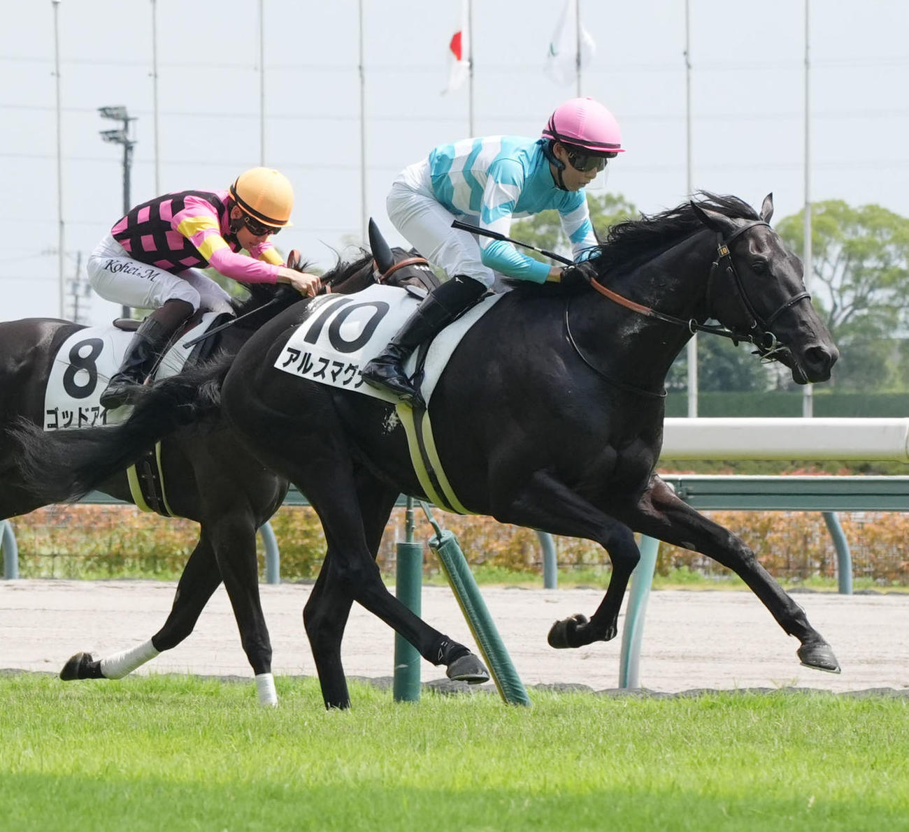 中京5R、新馬戦を制したアルスマグナ（右）（撮影・森本幸一）