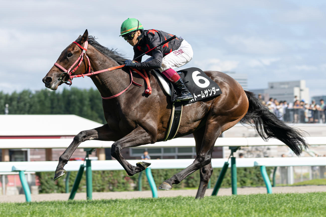 札幌9R、クローバー賞を制したストームサンダーとA・バデル騎手（撮影・村野早祐）