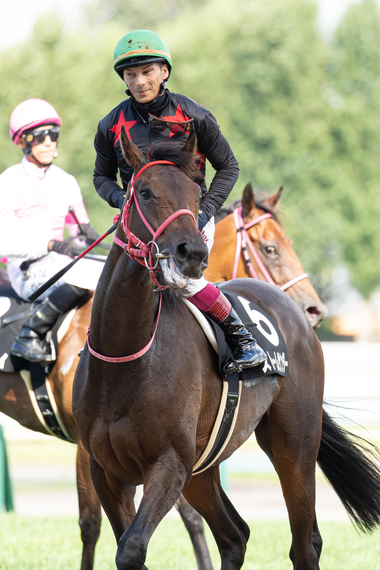 札幌9R、クローバー賞を制したストームサンダーとA・バデル騎手（撮影・村野早祐）