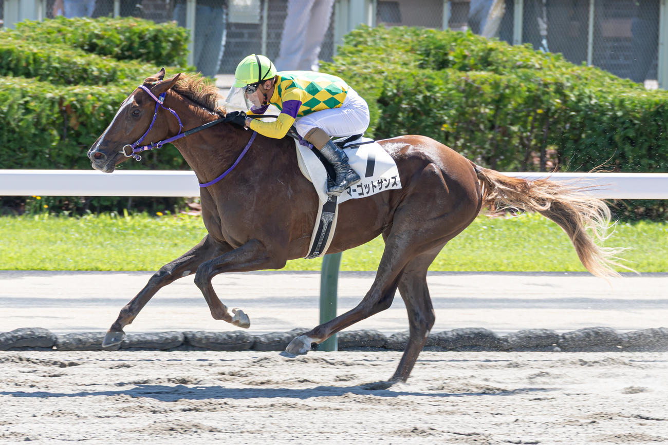 札幌1R、2歳未勝利を勝ち上がったマーゴットサンズと本田騎手（撮影・村野早祐）