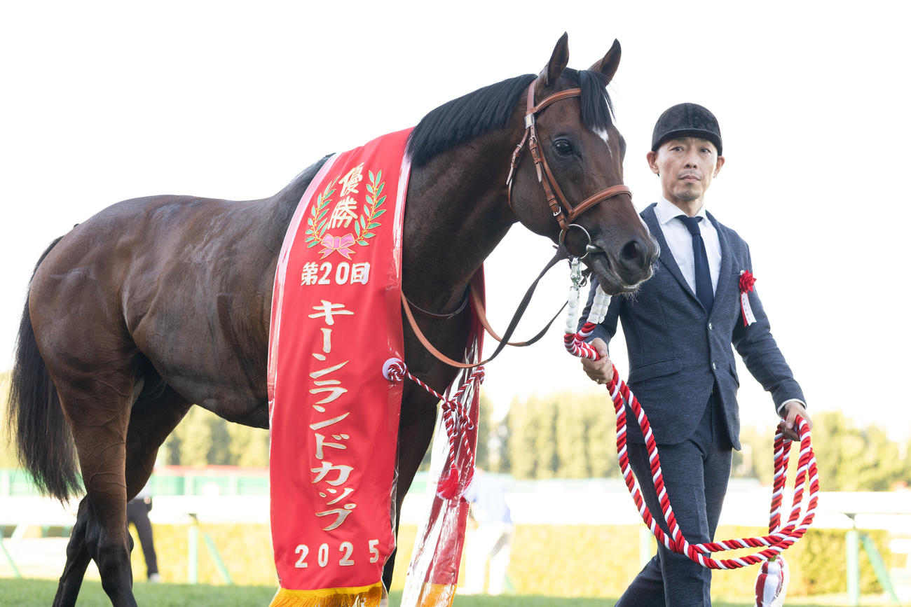 キーンランドCを制したパンジャタワー（撮影・村野早祐）
