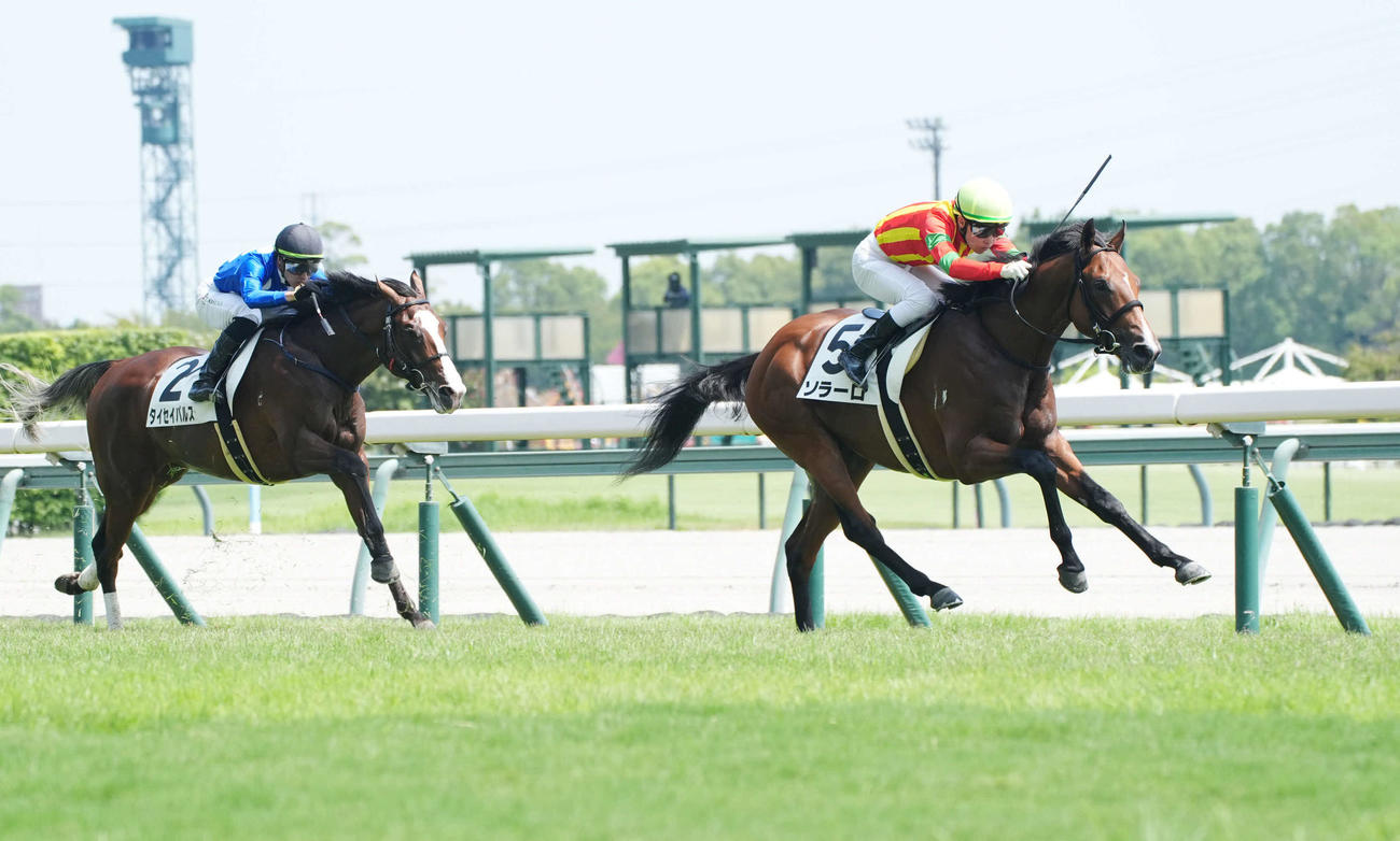 中京5R新馬戦を制したソラーロ（右）（撮影・森本幸一）