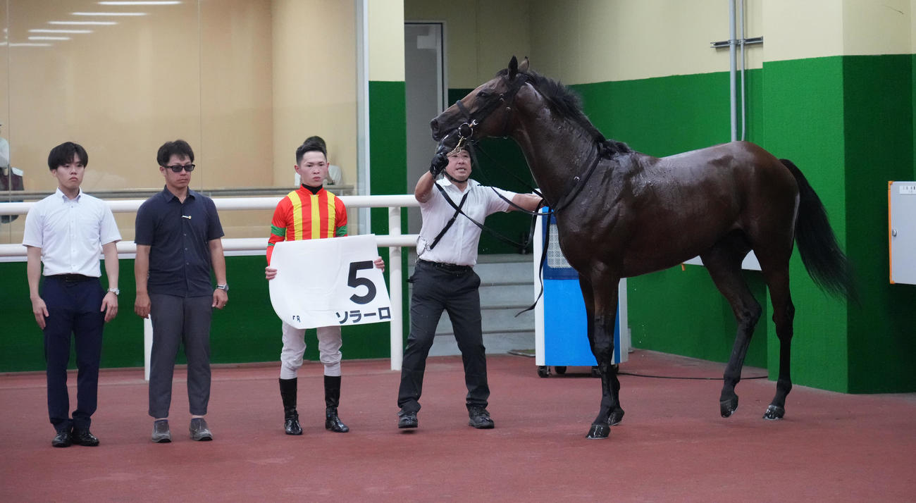 中京5R新馬戦を制したソラーロ（撮影・森本幸一）