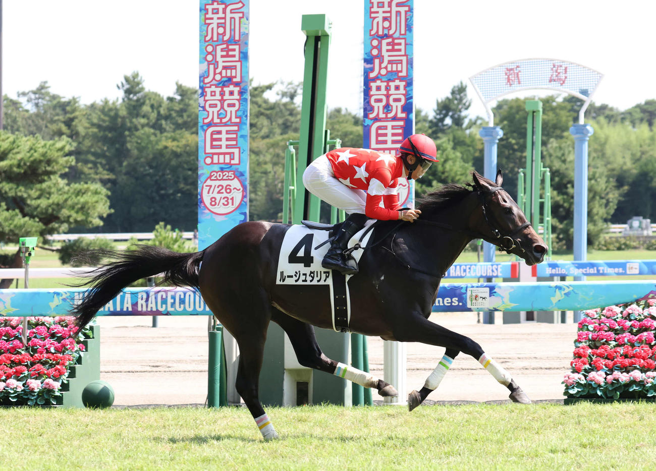 新潟6R、2歳新馬戦を制したルージュダリアと荻野極騎手（撮影・丹羽敏通）