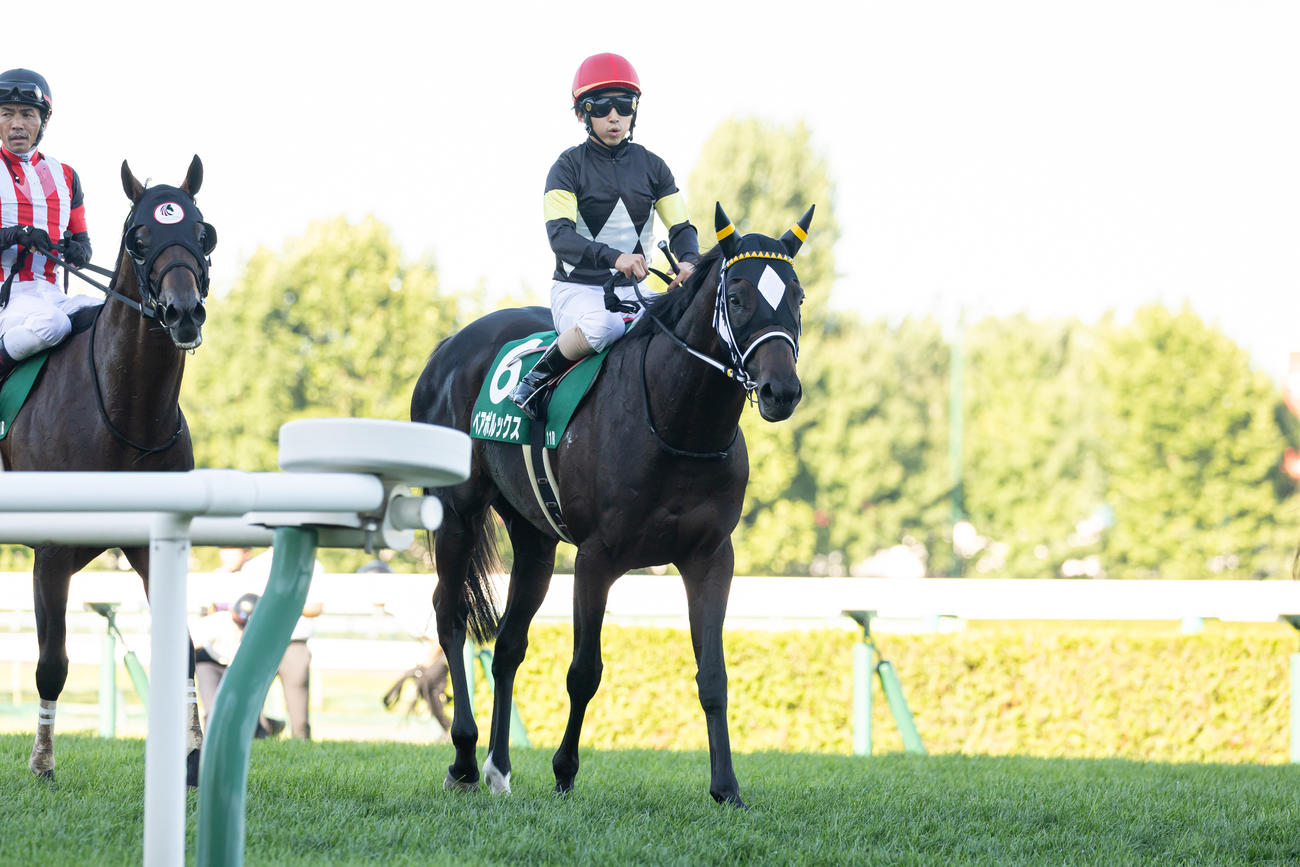 2着のペアポルックスと松若騎手（撮影・村野早祐）