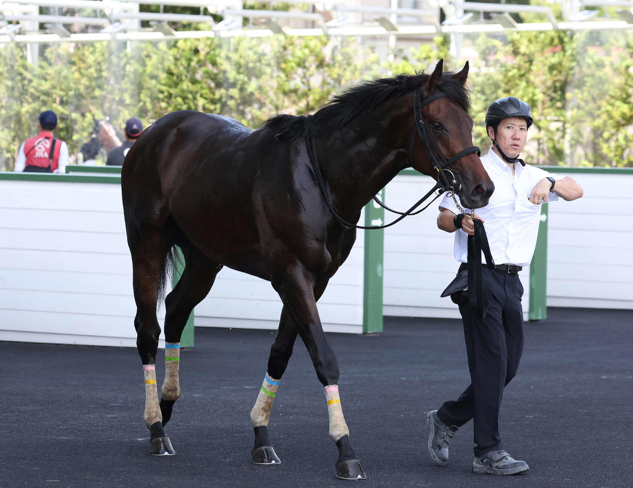 2歳新馬戦を制したザーフィル（2025年7月19日撮影）