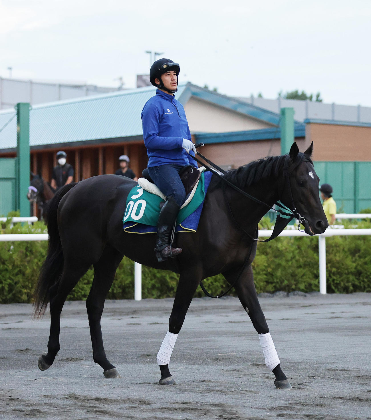 札幌競馬場で調整するインシオン