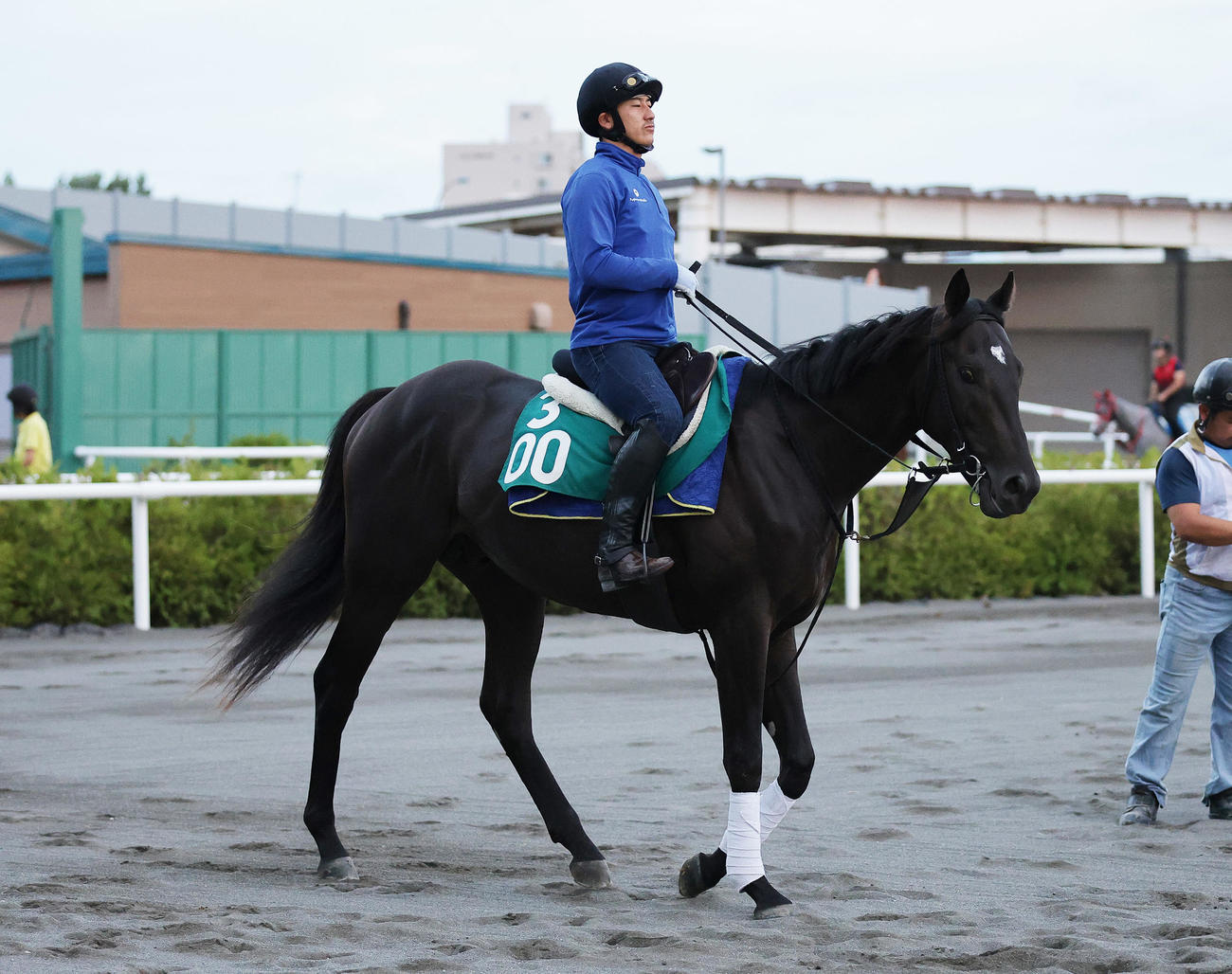 札幌競馬場で調整するインシオン