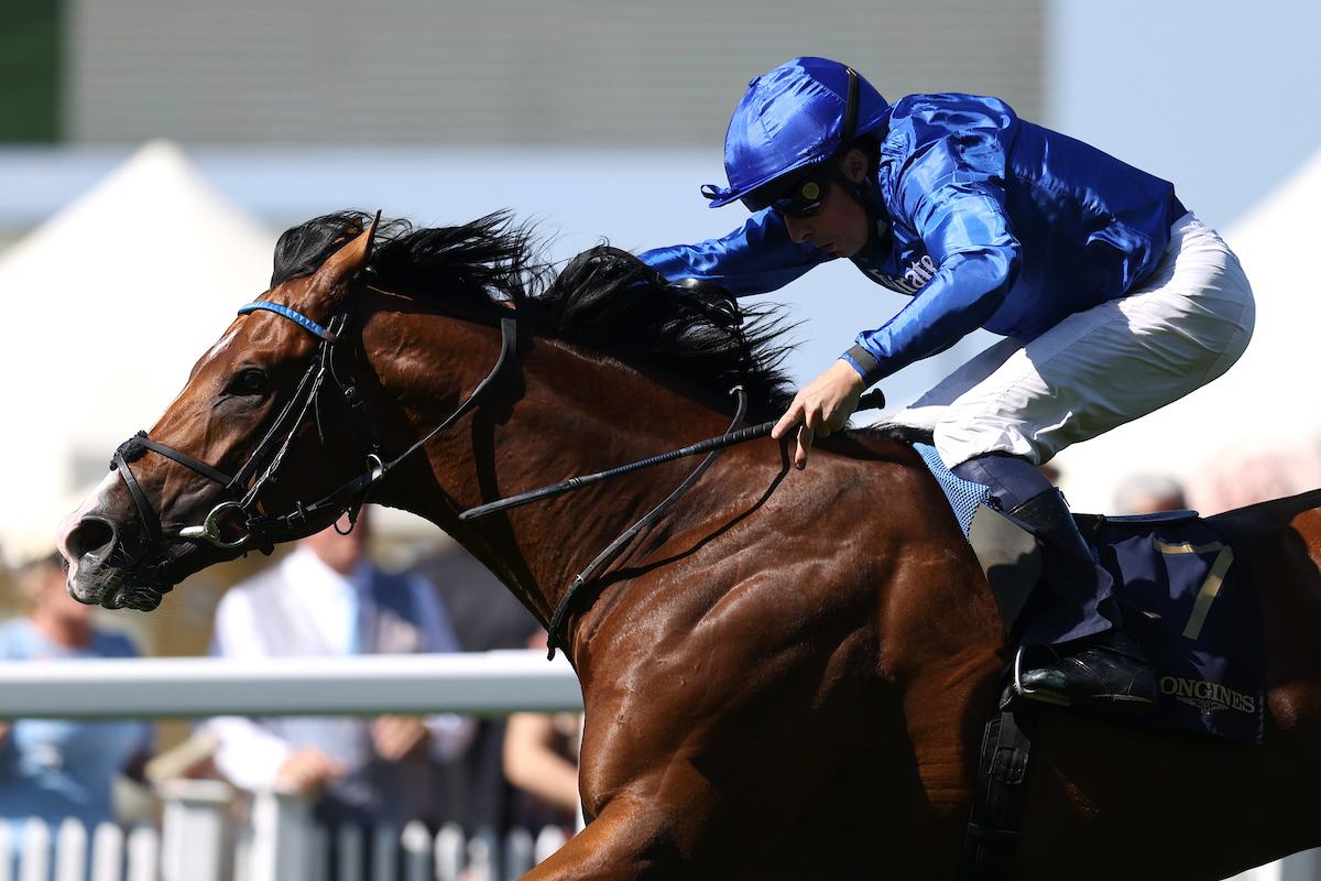 オンブズマン（C）Ascot Racecourse,Megan Coggin