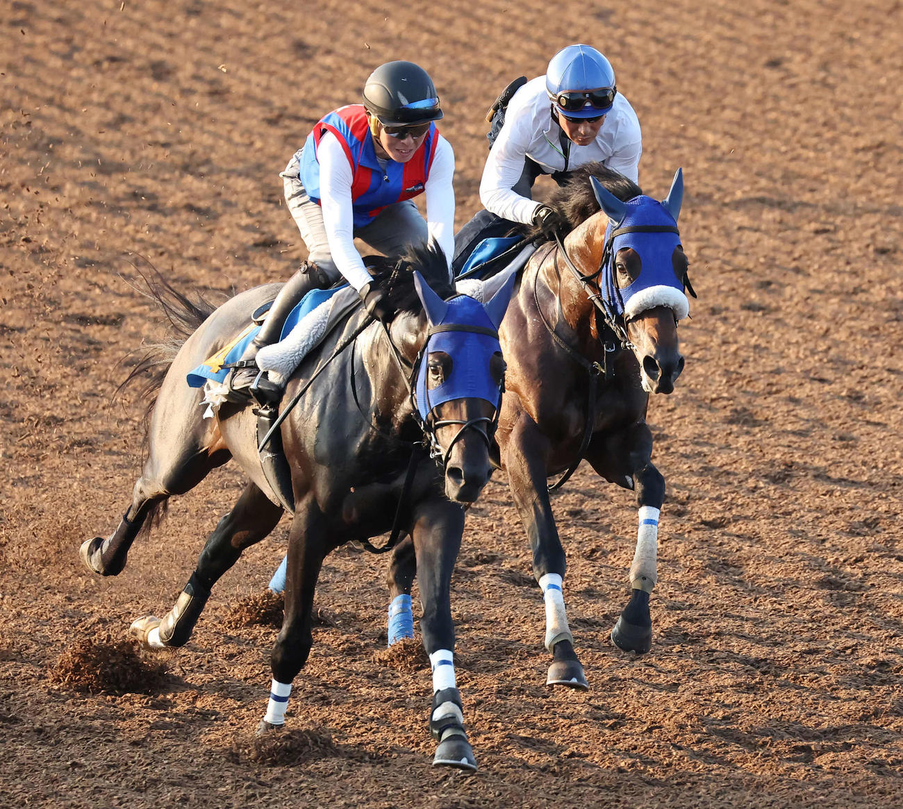 タイムトゥヘヴン（右）は柴田善騎手を背に美浦ウッドでイヴニングスターと併せて追い切られた（撮影・丹羽敏通）