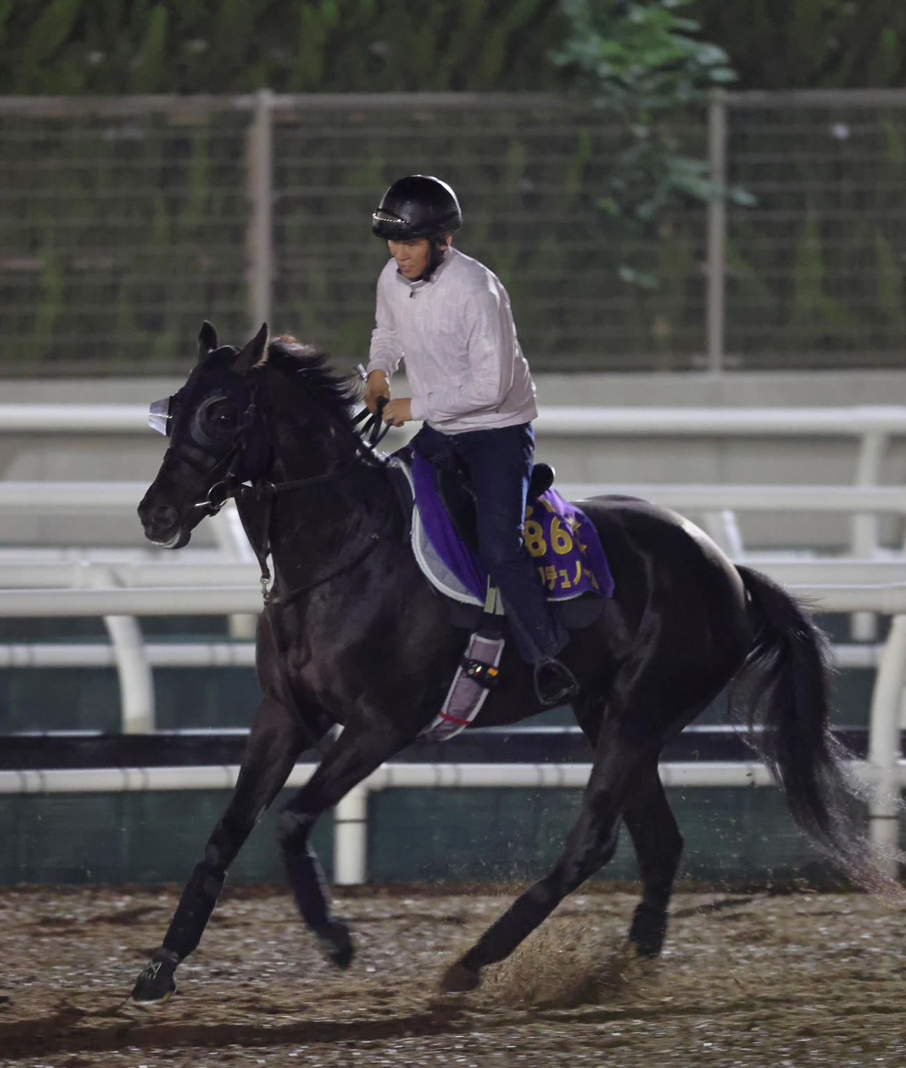角馬場でウォームアップするクロワデュノール