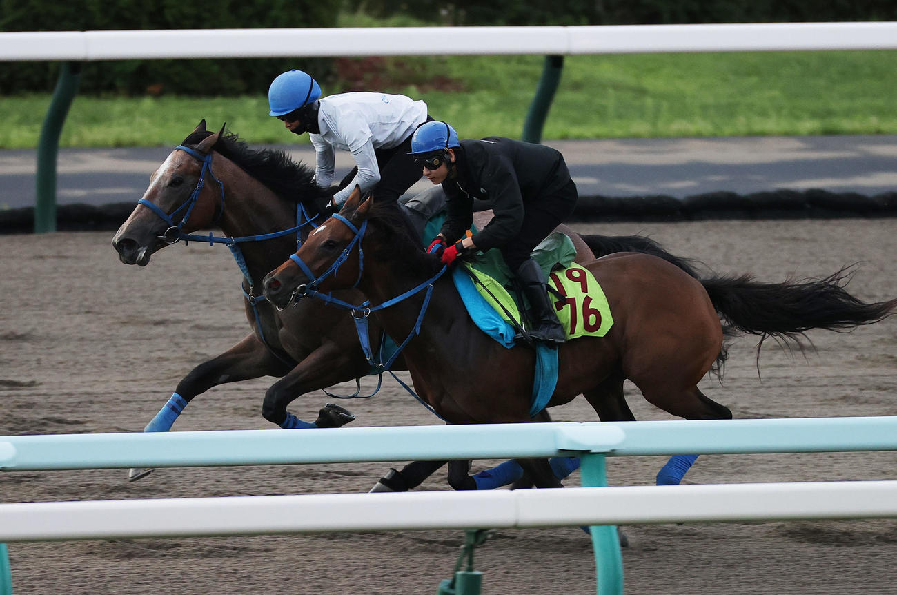 札幌ダートコースで併せ馬で追い切られるシリカブラック（奥）
