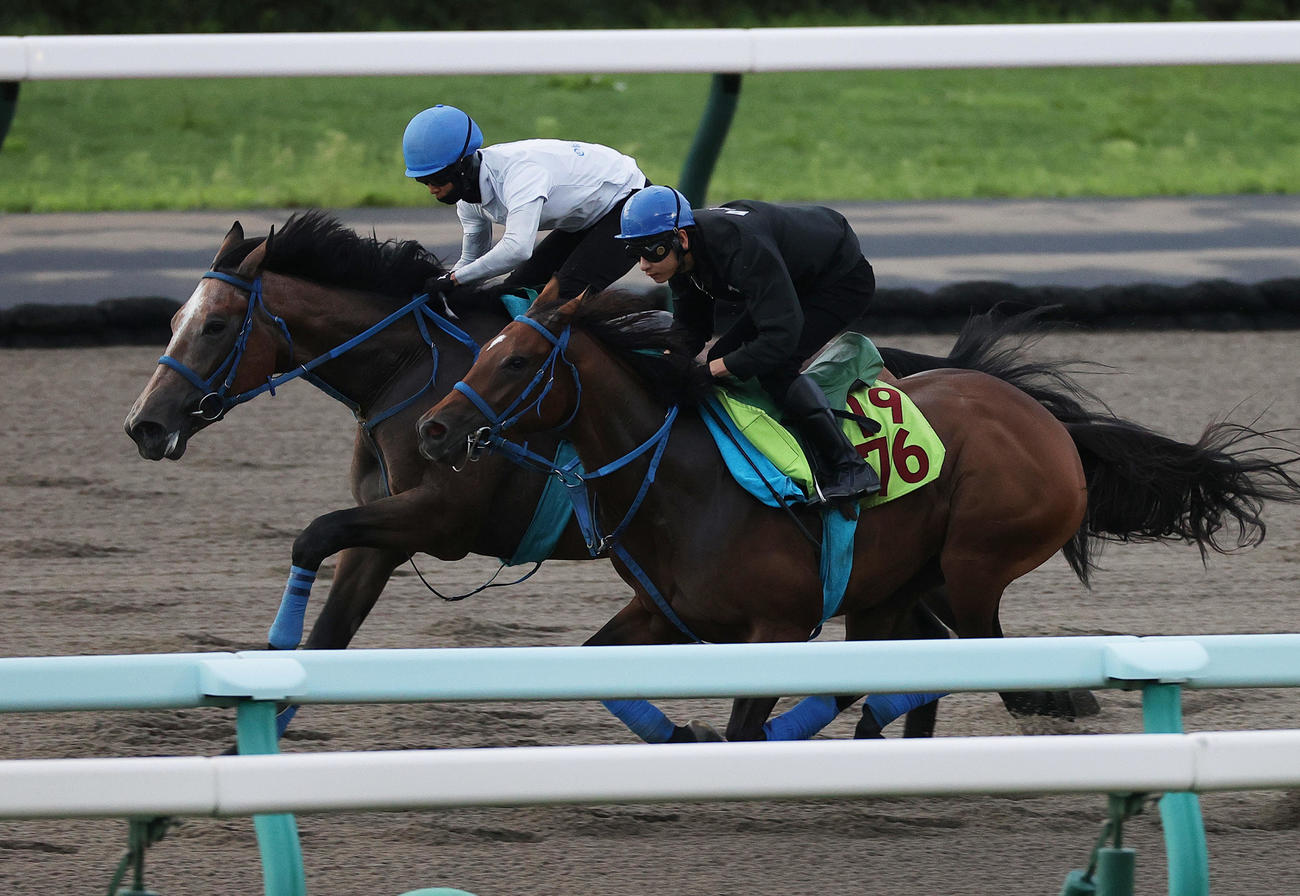 札幌ダートコースで併せ馬で追い切られるシリカブラック（奥）