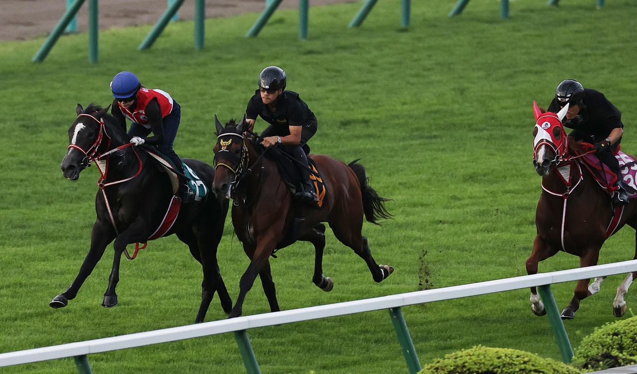 古川奈穂騎手を背に、札幌芝コースで併せ馬で追い切られるネッタイヤライ（左端）