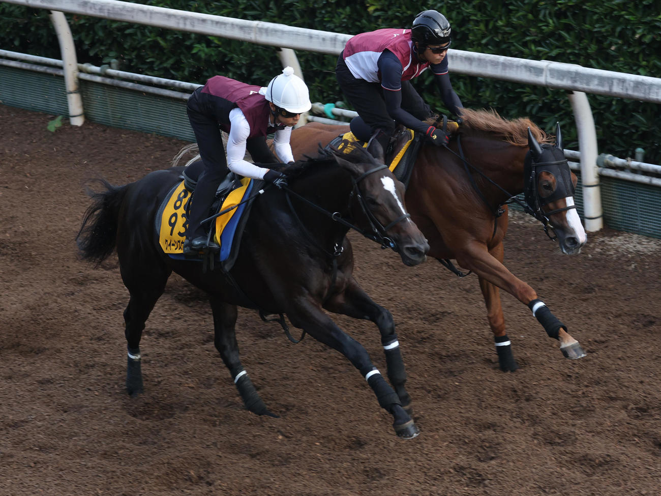 坂路にて併せ馬で追い切るクイーンズウォーク（左）