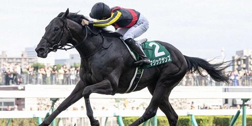 札幌２歳Ｓを制したマジックサンズ＝２０２４年８月31日、札幌競馬場