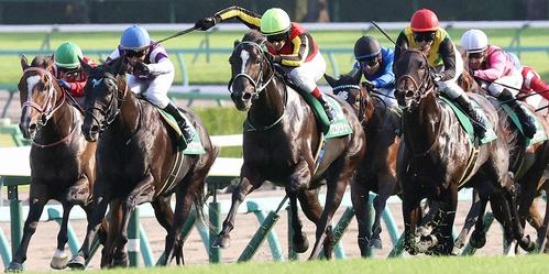 直線力強く伸びて京成杯ＡＨを制したアスコリピチェーノとルメール騎手（中央）＝２０２４年９月８日、中山競馬場