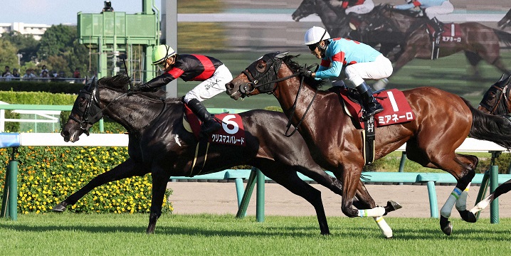 紫苑Ｓを制したクリスマスパレードと石川裕紀人騎手＝２０２４年９月７日、中山競馬場