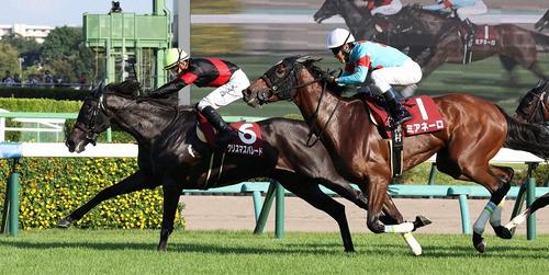 紫苑Ｓを制したクリスマスパレードと石川裕紀人騎手＝２０２４年９月７日、中山競馬場