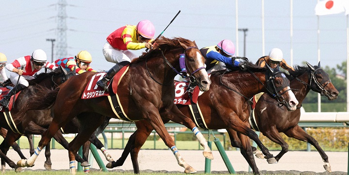 セントウルＳを制したトウシンマカオ＝２０２４年９月８日、中京競馬場