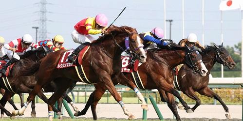 セントウルＳを制したトウシンマカオ＝２０２４年９月８日、中京競馬場