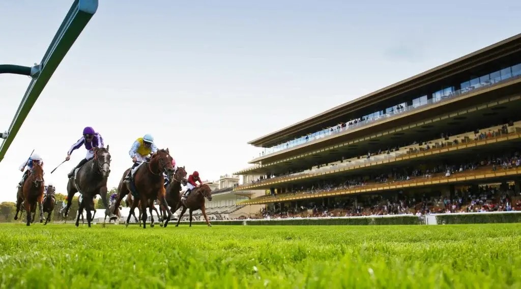 凱旋門賞が行われるパリロンシャン競馬場（（C）France Galop）
