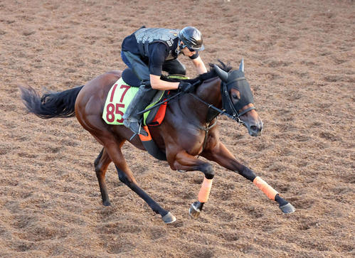今村聖奈、女性騎手最速100勝へあと2「早く達成を、だからこそ丁寧に