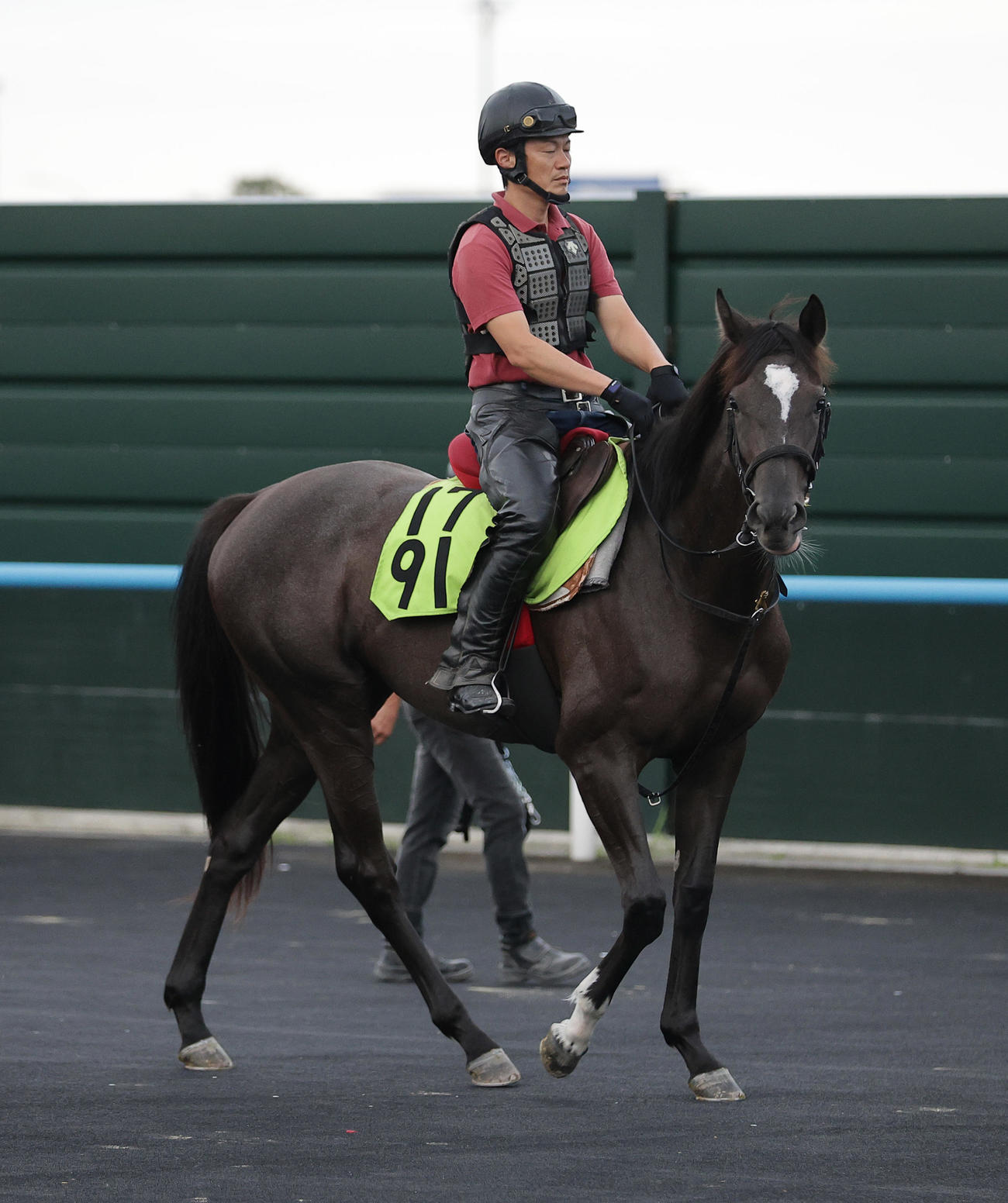 函館競馬場で調整するヴィスコンテッサ