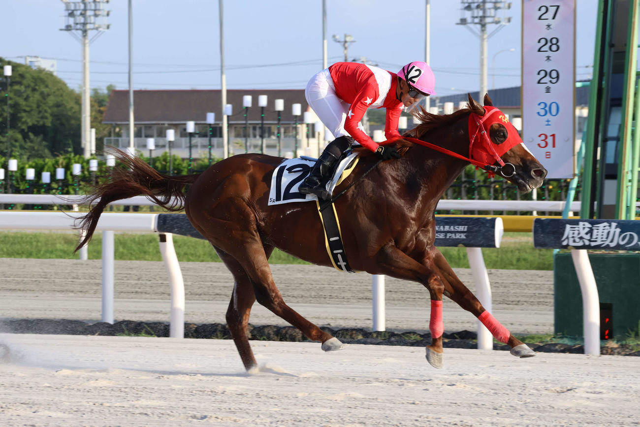 船橋5Rをパンタナルで制した川崎の野畑騎手は地方競馬通算400勝を達成