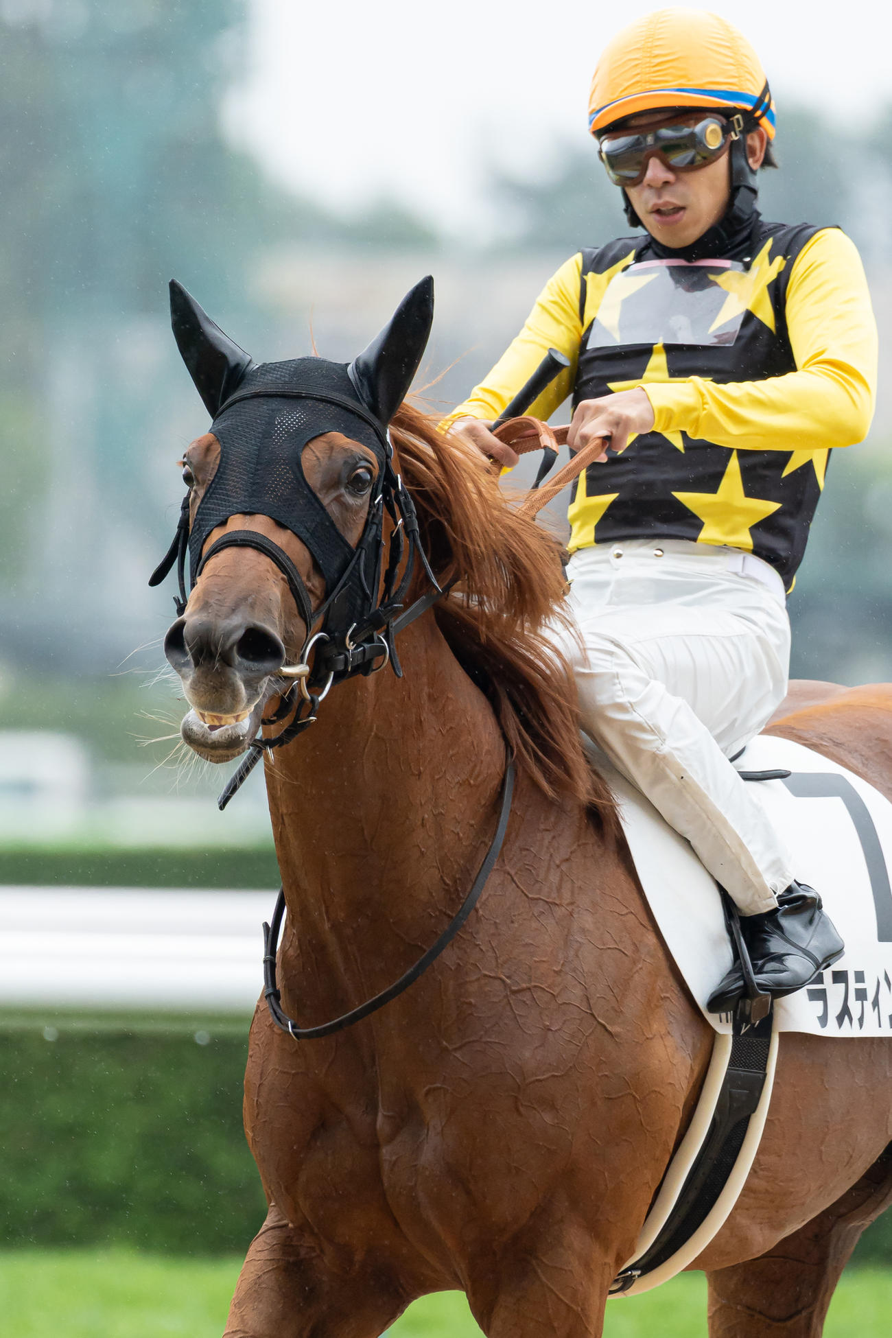札幌1R、2歳未勝利を勝ち上がったラスティングスノーと横山和騎手（撮影・村野早祐）
