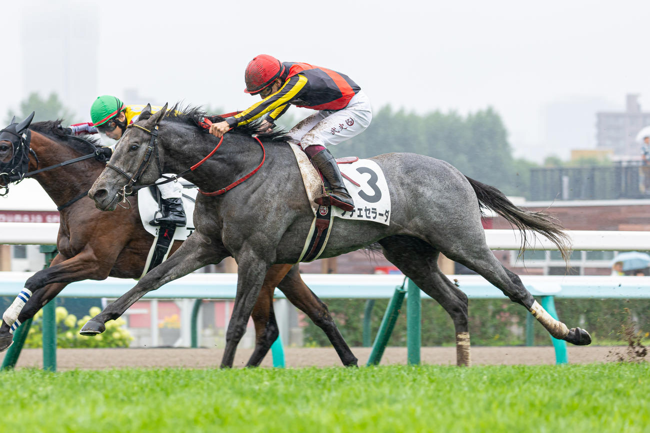 札幌2R、2歳未勝利を勝ち上がったノチェセラーダと横山武騎手（撮影・村野早祐）