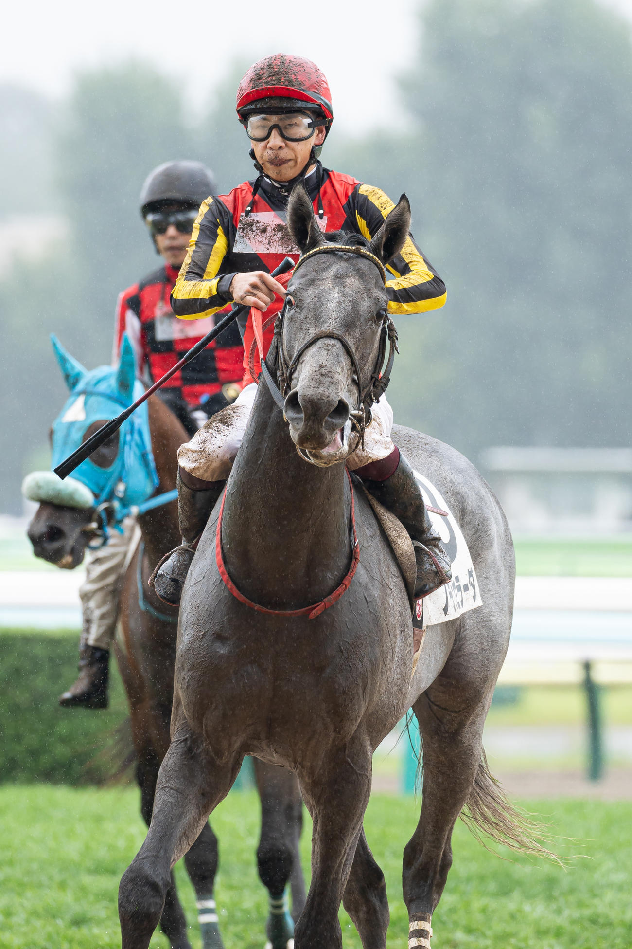 札幌2R、2歳未勝利を勝ち上がったノチェセラーダと横山武騎手（撮影・村野早祐）