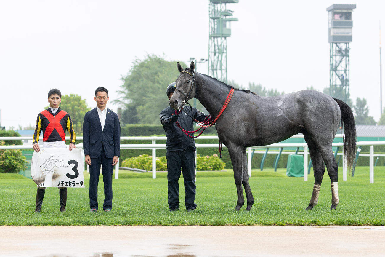 札幌2R、2歳未勝利を勝ち上がったノチェセラーダ（撮影・村野早祐）