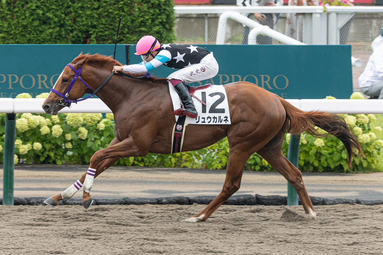 札幌5R、デビュー戦を制したリュウカルネと横山武騎手（撮影・村野早祐）