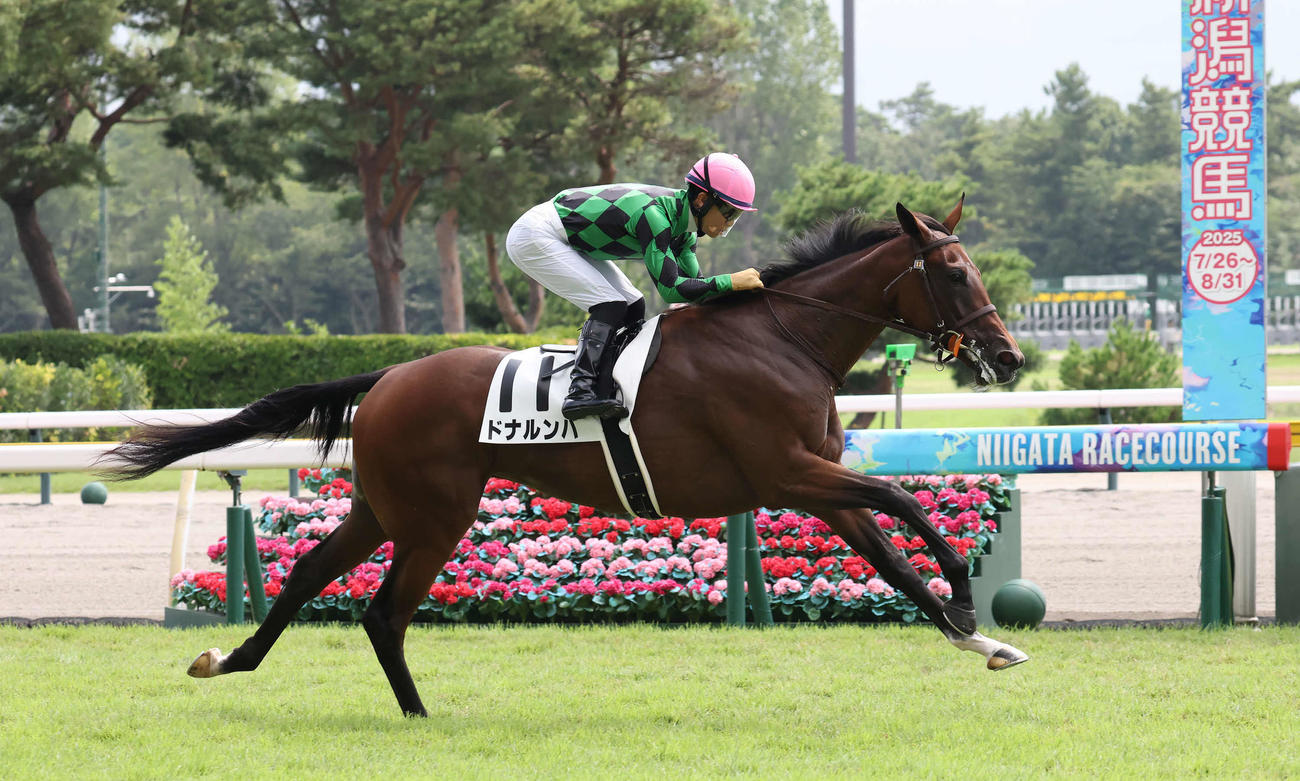 新潟3R、2歳未勝利戦を制したドナルンバと荻野極騎手（撮影・丹羽敏通）