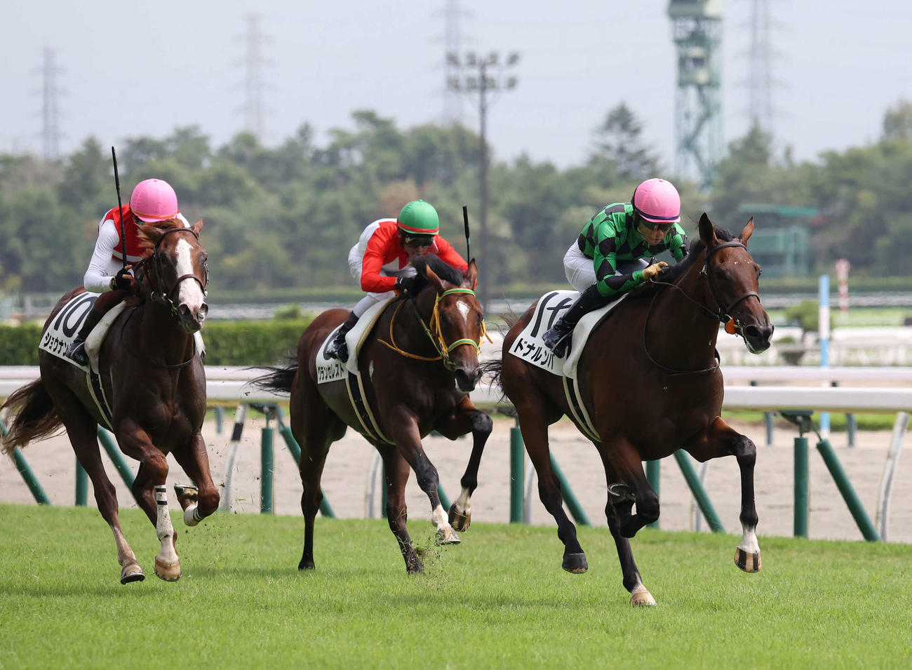 新潟3R、2歳未勝利戦を制したドナルンバと荻野極騎手（撮影・丹羽敏通）