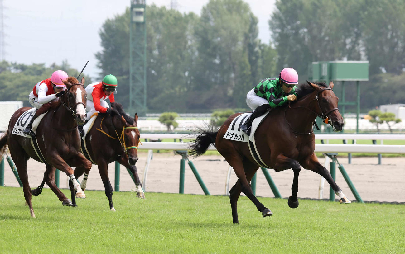 新潟3R、2歳未勝利戦を制したドナルンバと荻野極騎手（撮影・丹羽敏通）