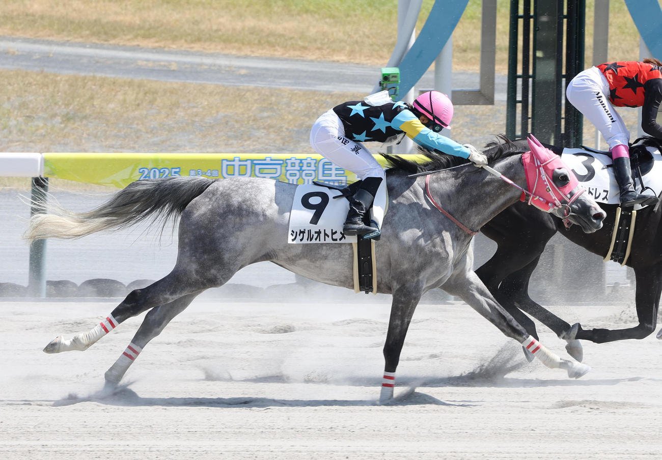 中京7R、シゲルオトヒメに騎乗して引退レースを9着で終えた和田翼騎手（撮影・白石智彦）