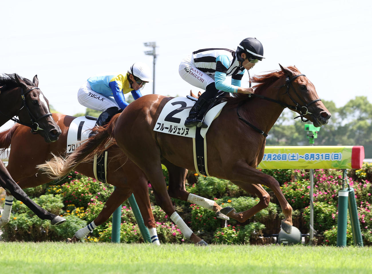 中京5R、逃げ切って新馬戦を制したフルールジェンヌ（撮影・白石智彦）