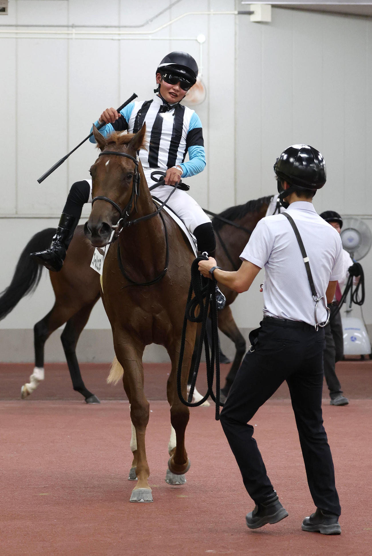 中京5R、新馬戦を制したフルールジェンヌ（撮影・白石智彦）