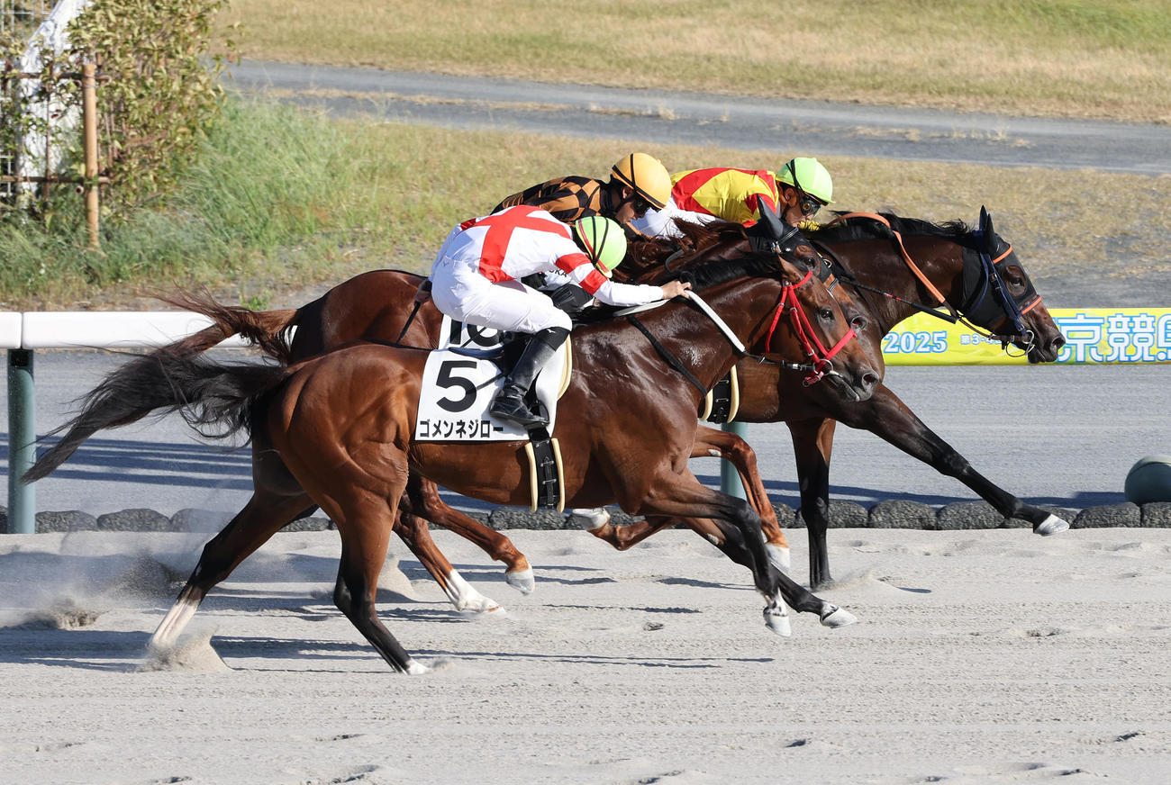 中京12R、富田暁騎手を背に3歳以上1勝クラスを制したエリカドリーム（右）（撮影・白石智彦）
