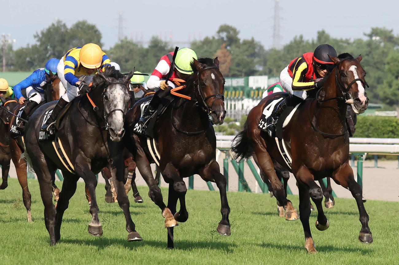 日本海Sを制したゲルチュタールと坂井騎手（右）。中央は2着ウインオーディン（撮影・丹羽敏通）