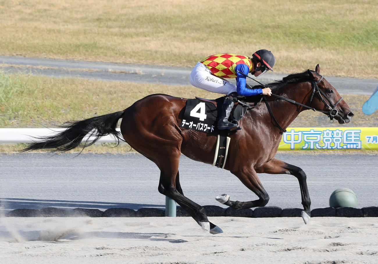 中京11R、直線抜け出して名古屋城Sを快勝したテーオーパスワード（撮影・白石智彦）
